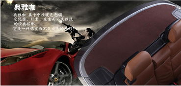 飞石专车专用汽车后橱窗垫 提升驾驶安全的贴心设计